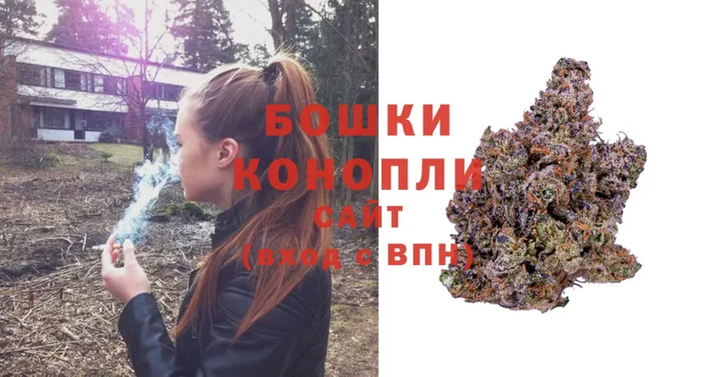 Канабис OG Kush  Кирс 